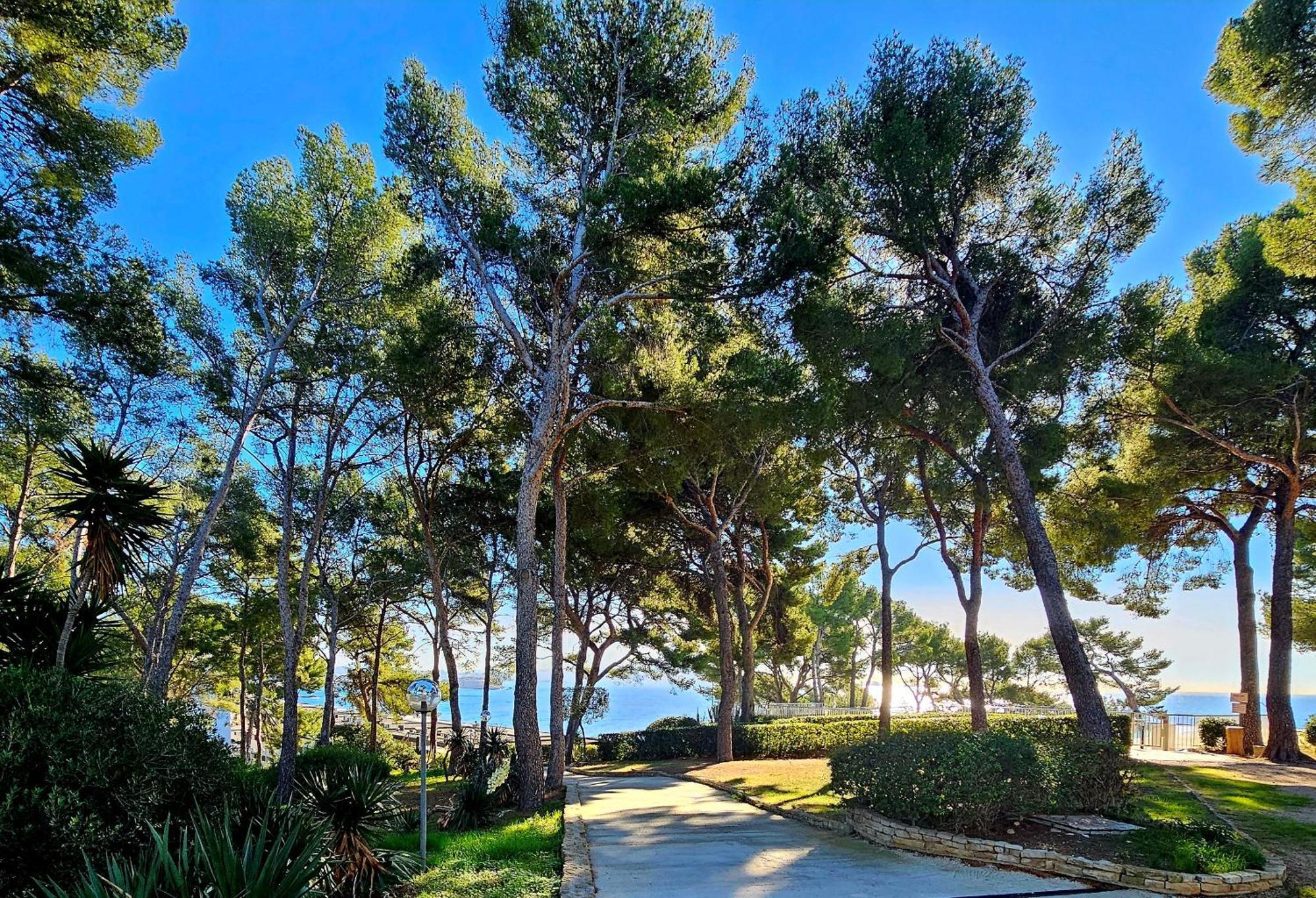 Appartement Superbe Vue - Plage, Piscine Et Tennis Prive Bandol